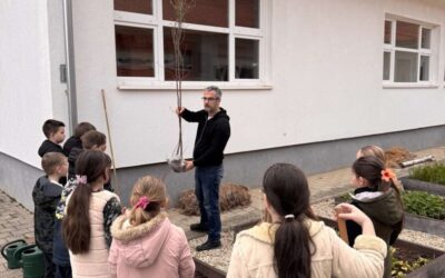 Mnogo životnih lekcija u samo dva stabla