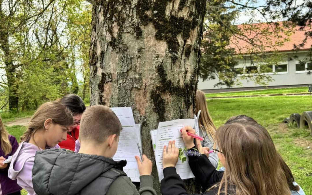 Mali znanstvenici na travnjaku
