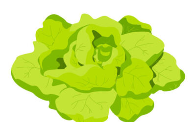 Zeleno, hrskavo i naših ruku djelo!